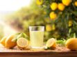 7 variétés de citron pour faire le plein de vitamines