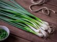 Comment cuisiner l'oignon vert : nos conseils et bonnes recettes