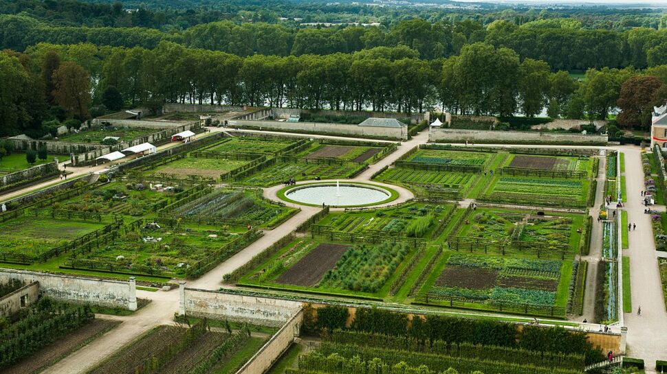 Versailles : tout ce qu'il faut savoir sur le Potager du Roi