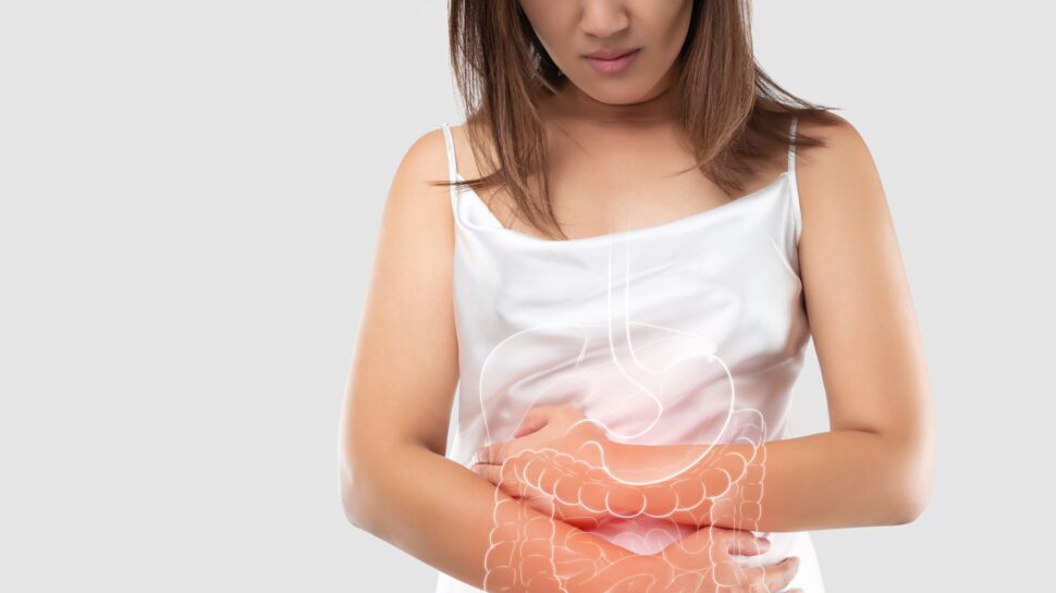 Intestin grêle : fonctions et pathologies 