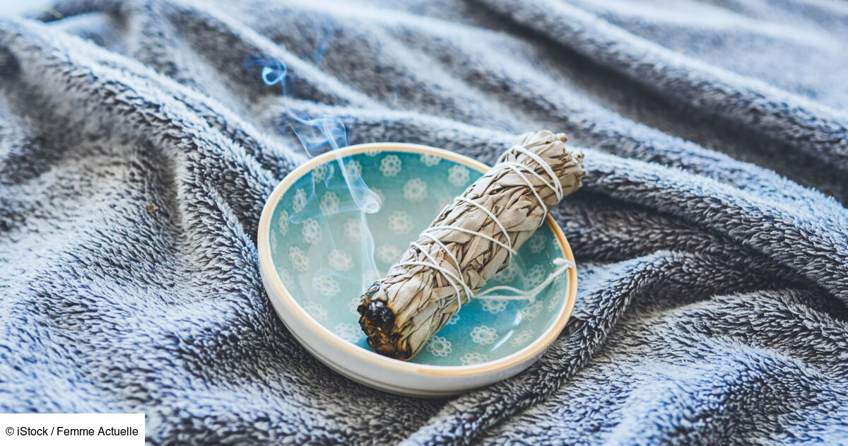 Comment Faire Bruler De L'encens Sans Support Faire brûler des plantes comme de l’encens chez soi, mode d’emploi