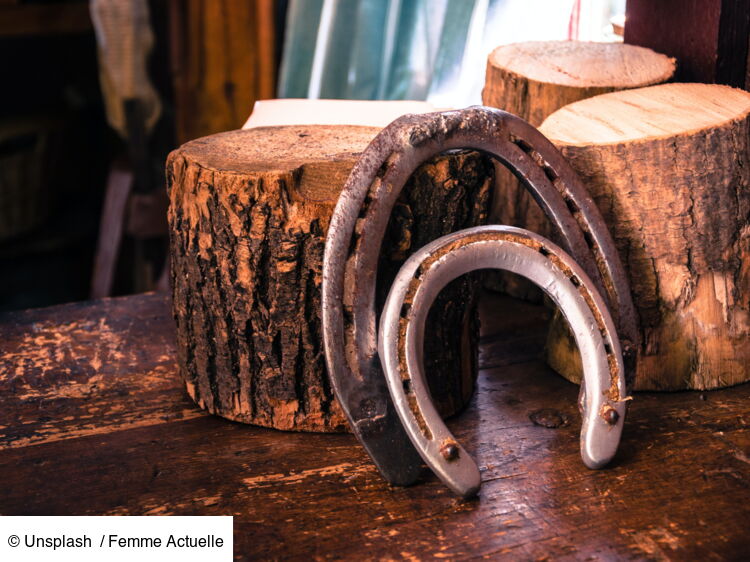 Harnais Western Vintage - Fer à Cheval Ancien - Pièce De Ferme 10140 - Occasion