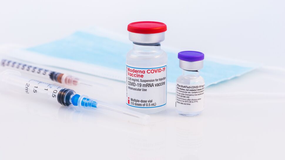 Vaccin Covid-19 : un moustique découvert dans un flacon entraîne le rappel de 800.000 doses de Moderna