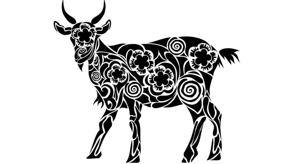 Horoscope chinois du mois de mai 2022 pour la Chèvre (ou Mouton) : toutes nos prévisions