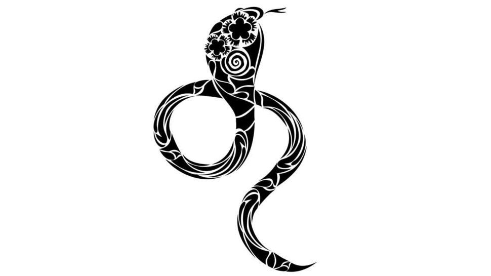 Horoscope chinois du mois de mai 2022 pour le Serpent : toutes nos prévisions