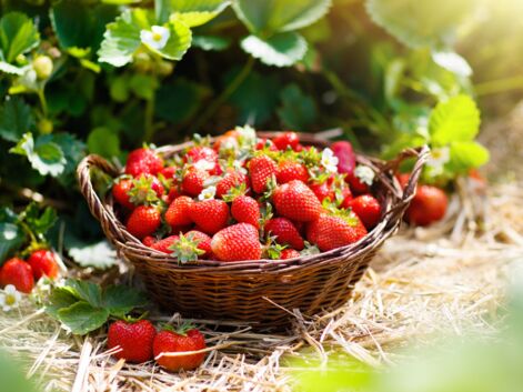 20 recettes légères et faciles à préparer avec des fraises