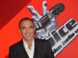 Nikos Aliagas va-t-il présenter la finale de "The Voice" ? La réponse de TF1