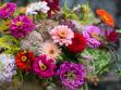 Bouquet : 5 fleurs à éviter absolument si on est allergique au pollen