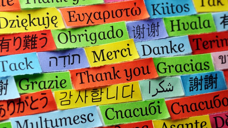 Quelles langues sont les plus parlées dans le monde ?