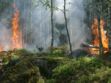 Sécheresse : la Bretagne aussi subit les incendies 