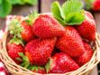 8 infos insolites sur la fraise