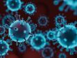 Virus Langya : symptômes, nombre de cas... ce que l'on sait sur cette nouvelle maladie détectée en Chine 