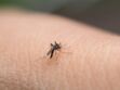 Dengue : les autorités de santé alertent sur l’explosion des cas en France, quelles sont les régions concernées ?