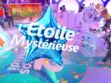 "Les 12 coups de midi" : Stéphane le Maître de Midi a découvert l'Étoile mystérieuse