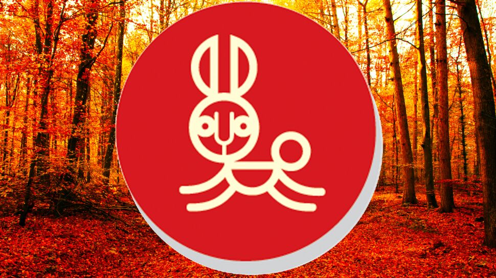 Horoscope chinois du mois de novembre 2022 pour le Lapin : toutes nos prévisions