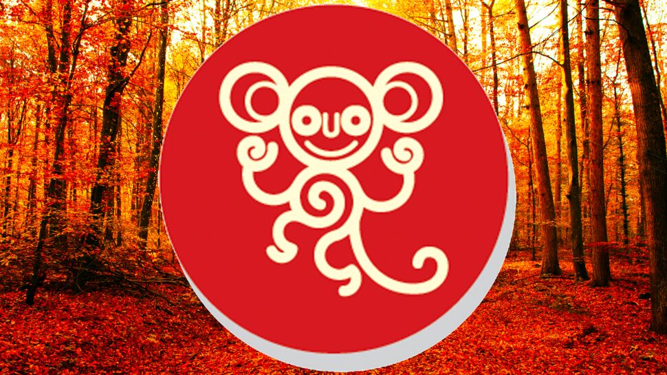 Horoscope chinois du mois de novembre 2022 pour le Singe : toutes nos prévisions