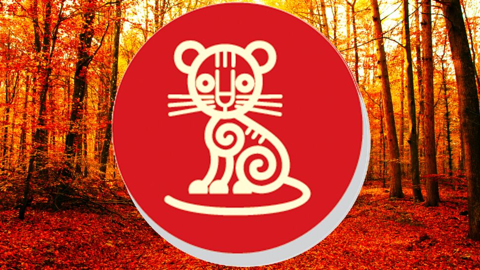 Horoscope chinois du mois de novembre 2022 pour le Tigre : toutes nos prévisions