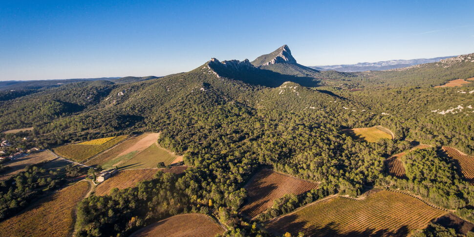 Pic Saint-Loup : vignobles, villages médiévaux... 5 bonnes raisons de