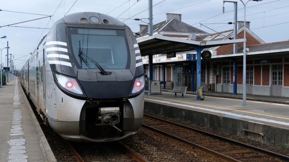 La somme annuelle que vous coûte la SNCF même quand vous ne voyagez pas ! 