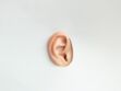 Infection de l'oreille : causes, symptômes, traitements