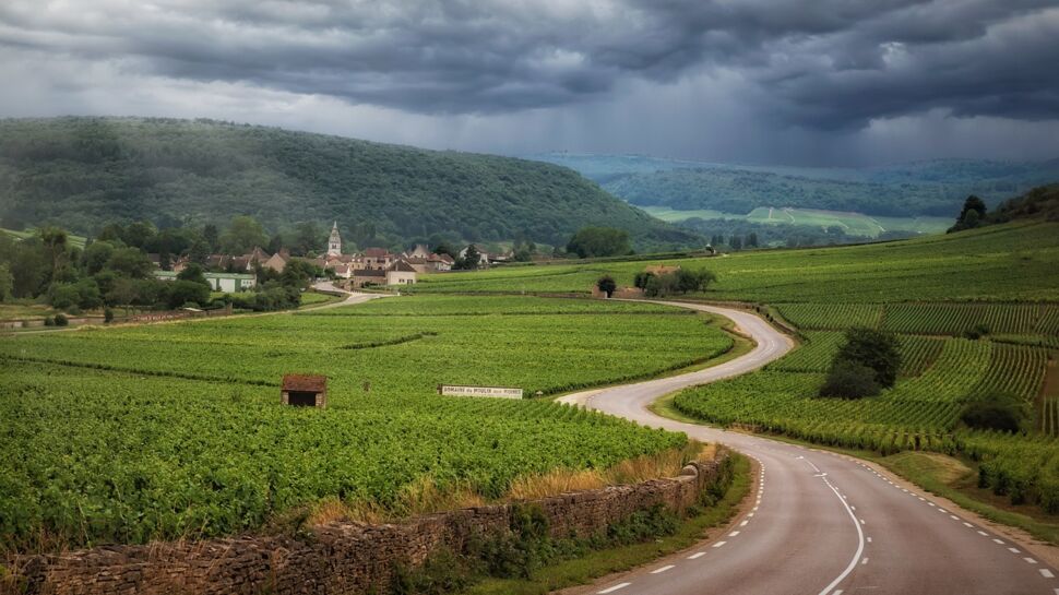 Ville ou vignes, découvrez la Bourgogne du Sud 