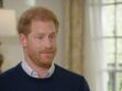 "Aucune volonté de réconciliation" : le prince Harry évoque sa rupture avec la famille royale d'Angleterre