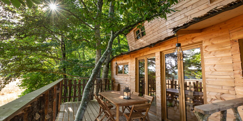 la-grande-no-des-cabanes-dans-les-arbres-pour-vivre-une-exp-rience