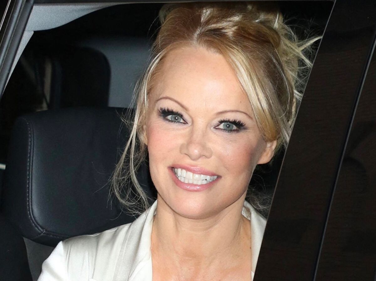 Pamela Anderson : elle pose entièrement dévêtue et les cheveux ultra longs  et séduit ses fans : Femme Actuelle Le MAG