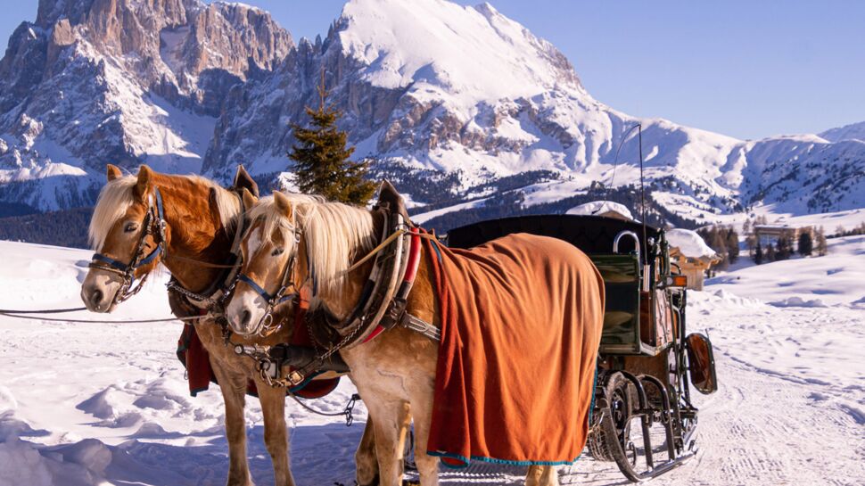 4 expériences inédites pour découvrir les Dolomites en famille