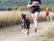 Le canicross, un sport à partager avec son chien