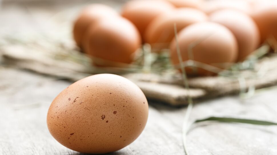 Des polluants retrouvés dans des œufs, l'ARS Île-de-France lance l'alerte