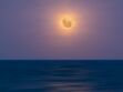 Super Pleine Lune bleue du 31 août 2023 : la lune sera-t-elle bleue lors de cet évènement rarissime ?