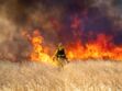 Incendies : à quoi va servir "la météo des forêts" mise en place dès le 1er juin 2023 ?