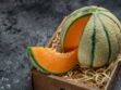 Le melon de Cavaillon, la star de l'été s'invite dans notre assiette
