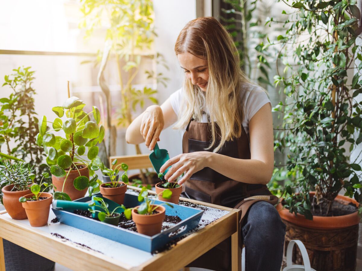 10 super astuces pour entretenir vos plantes d'intérieur : Femme Actuelle  Le MAG