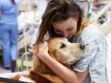 Zoothérapie : quels sont les bienfaits de la thérapie assistée par l'animal sur les patients ?