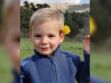 Disparition d'Émile, 2 ans : pourquoi l'hypothèse d'un drame familial n'est pas écartée par les enquêteurs