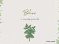 La plante du Bélier : la menthe poivrée