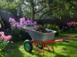 Gazon : 4 alternatives pour décorer son jardin