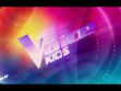 "The Voice" et "The Voice Kids" : comment participer aux télécrochets de TF1 ?