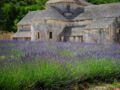 La Provence, fief de repos et découverte du territoire