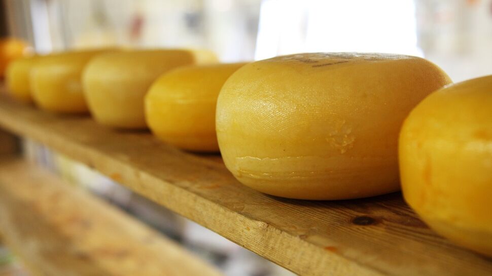 En Italie, un fromager meurt écrasé par des meules de plus de quarante kilos
