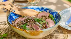 Salade de lentilles froide facile et rapide : découvrez les recettes de
