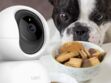 Protégez votre domicile avec cette caméra de surveillance à moins de 20 euros chez Amazon