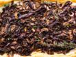 Tarte feuilletée aux champignons : la recette facile qui va plaire à toute la famille
