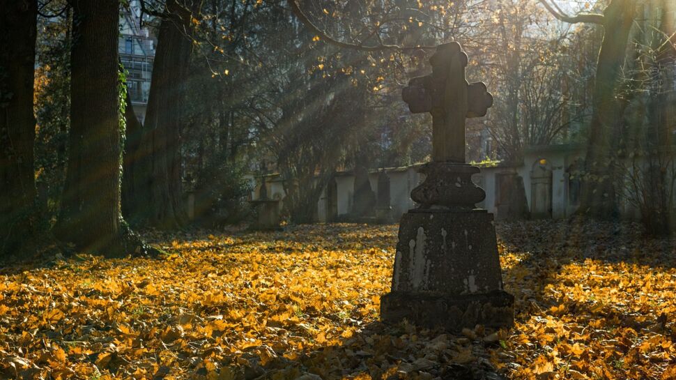 Des dizaines de sépultures profanées dans un cimetière : ce que l'on sait de cette sordide affaire