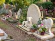 Un animal peut-il être enterré dans un cimetière ?