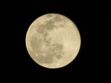 Pleine Lune en Taureau du 28 octobre 2023 : les prévisions d’Isabelle Elvira pour tous les signes astrologiques