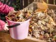 Jardin : comment recycler ses feuilles mortes pour en faire du compost