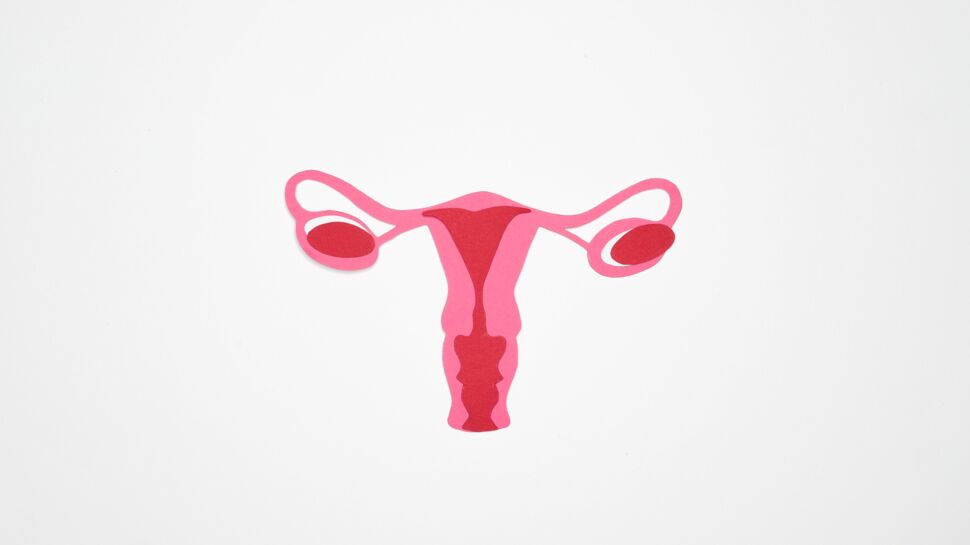 Tumeur borderline de l'ovaire : symptômes, diagnostic, traitements
